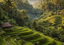 ELEGANT BALİ & UBUD Türk Hava Yolları ile 5 Gece